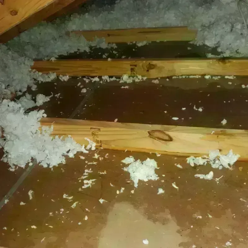 Attic Water Damage in Brownstown, IN